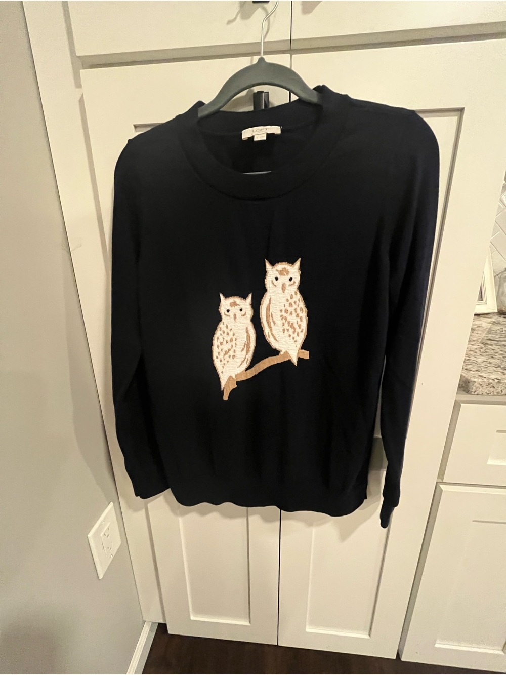 🦉NEVER WORN-LOFT Black Crewneck Sweater with Owl Motif